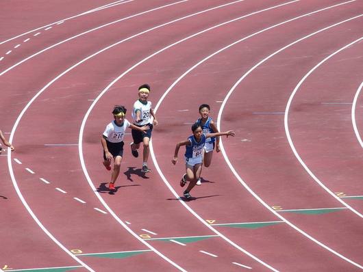 全国小学生陸上競技交流大会 千葉県予選会 に参加しました