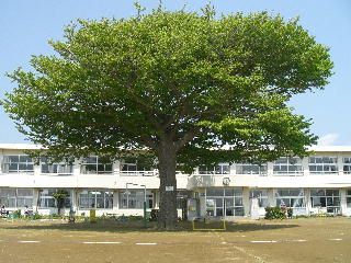 �Z��