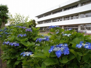 旭市立鶴巻小学校：ホーム