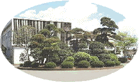 �Z��